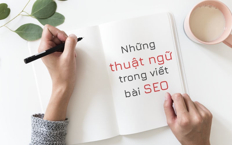 Những thuật ngữ newbie cần biết khi viết bài chuẩn Seo