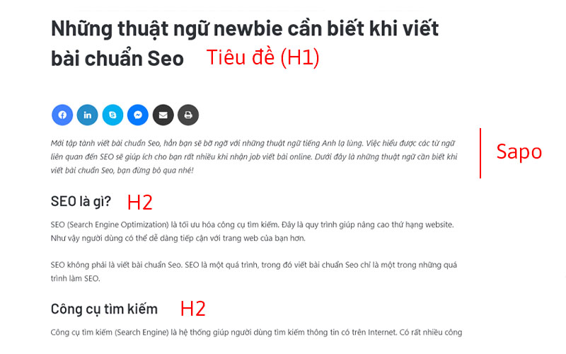 Những thuật ngữ newbie cần biết khi viết bài chuẩn Seo